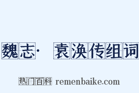 魏志·袁涣传组词是什么意思的图片